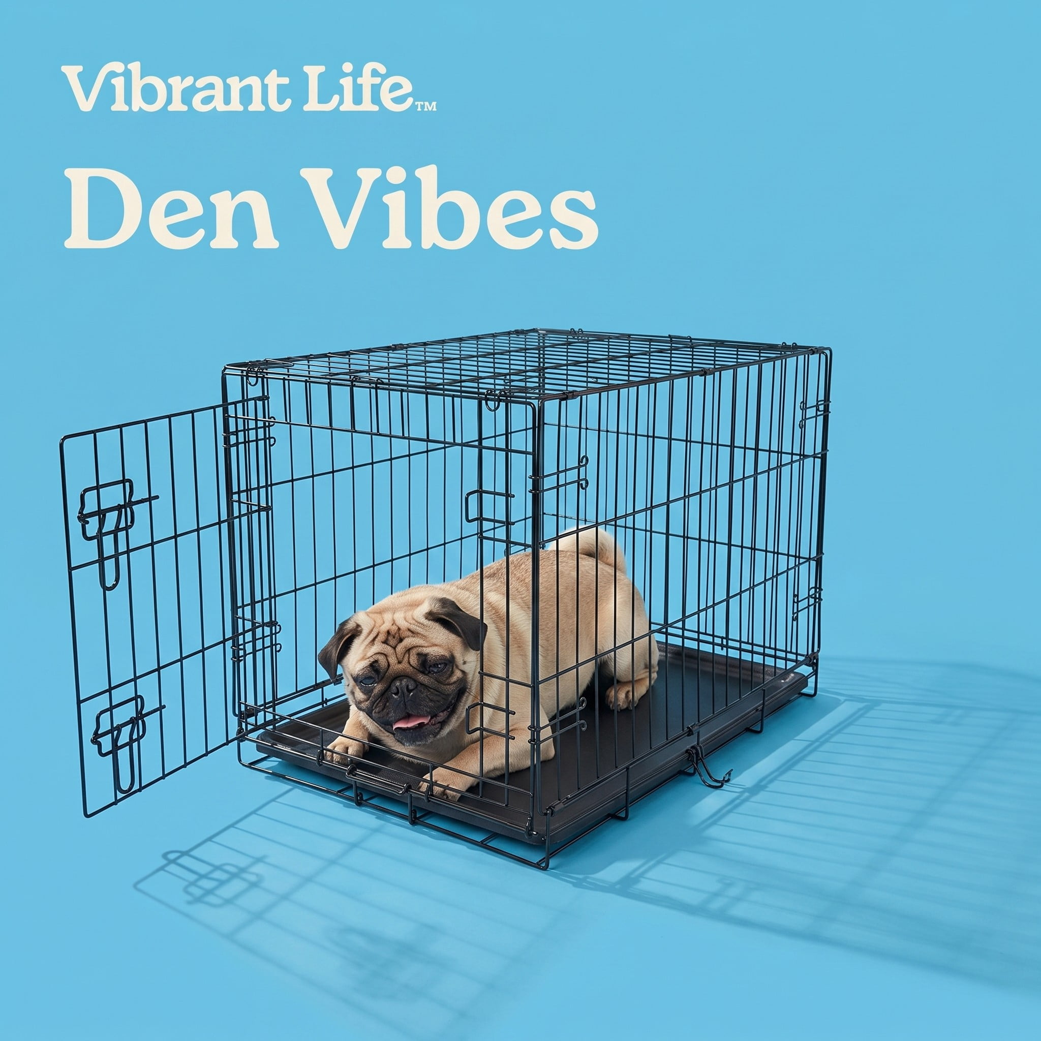 Vibrant Life Foldable 30