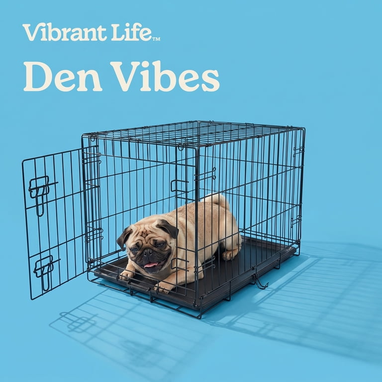 Vibrant Life Foldable 30