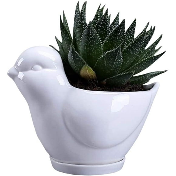 Pot de Jardin Succulent pour Oiseaux Mignons avec Bac de Drainage, Contenant de Cactus/fleurs en Céramique Blanche, Support de Bonsaï Animal pour Plantes d'Intérieur