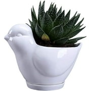 Joli pot de jardinière pour oiseaux succulents avec plateau de drainage, récipient en céramique blanche pour cactus/fleurs, porte-bonsaï animal pour plantes d'intérieur