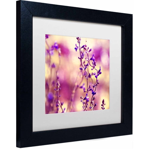 Trademark Fine Art "Summer Melodies" Canvas Art by Beata Czyzowska Young White Matte, Black Frame