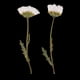 thumbnail image 3 of 50 Piezas de Flores Prensadas Naturales Sunnimix para Arreglos Florales, 3 of 8