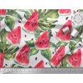 thumbnail image 2 of Soimoi Cotton Duck Fabric Monstera Leaves & Watermelon Fruits Print Fabric by The Yard 56 Inch Wide, 2 of 3