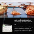thumbnail image 2 of Sonew Acrylic Formicarium,Ant Breeding Box,Acrylic Transparent Ant Breeding House Nest Formicarium Display Box Ornamental, 2 of 10
