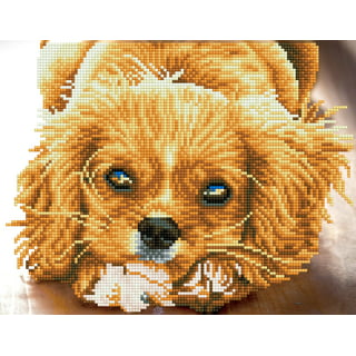 Golden Retriever Dog Diamond Painting – All Diamond Painting
