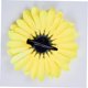 thumbnail image 3 of unbranded 10Ud Pinzas Para Con Decorativas Resistentes Para Uso En Playa Y Eventos, 3 of 8