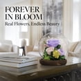 thumbnail image 6 of GLAMOUR BOUTIQUE Preserved Flowers Rose in Glass Dome w/Light - Long Lasting Flowers, Flower Gifts for Women for Any Occasion - Home Decor, Comes w/Thick Gift Box - Glass Rose Flowers - Light Purple, 6 of 9