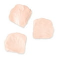 thumbnail image 3 of Pink Artificial Flower Rose Petals, 300 Count, by Way To Celebrate, 3 of 5