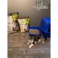thumbnail image 2 of Natural Cat Litter 4.5 KG, 2 of 6