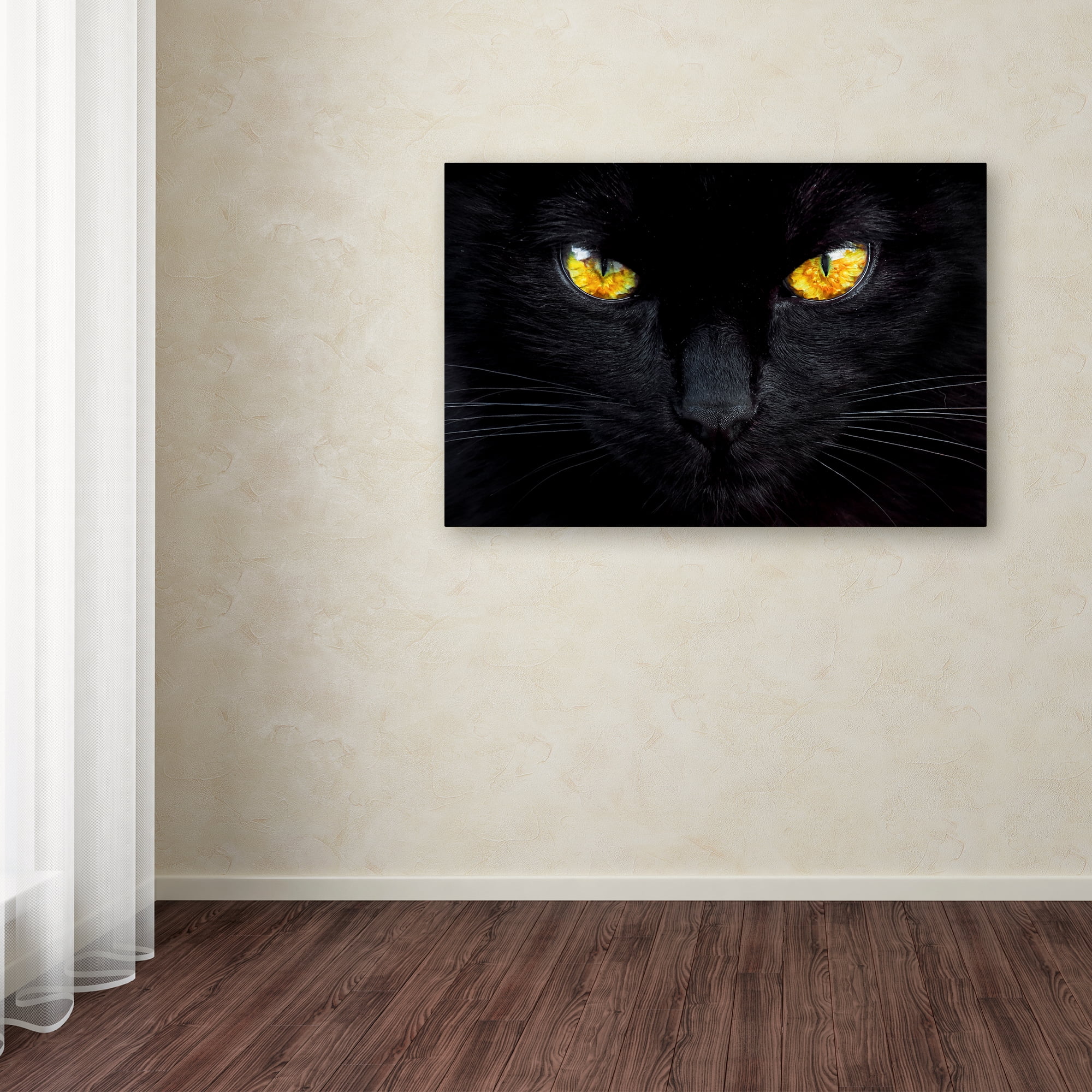 Trademark Fine Art 'The Hypnotist Of The Night' Canvas Art by Ferdinando Valverde