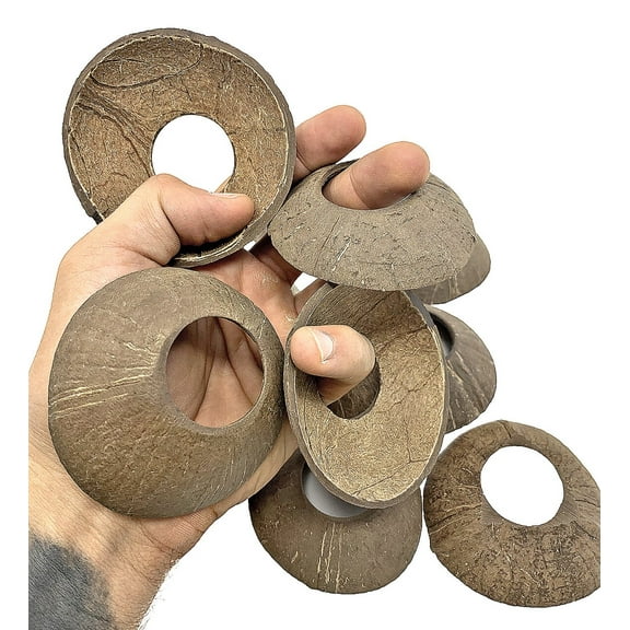 Bonka Bird Toys 1290 Large Coconut Discs Pack: 24 Pack