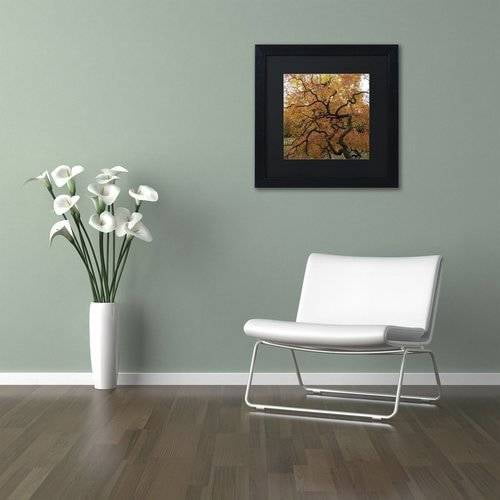 Trademark Fine Art "October Japanese Maple" Canvas Art by Kurt Shaffer, Black Matte, Black Frame