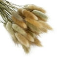 thumbnail image 4 of 50 Pcs Dried Pampas Grass,18" Natural Dried Grass,Real Flowers Bouquet,Wedding Home Decor,Housewarming Gift, 4 of 5