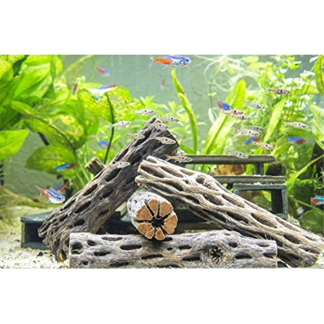 cactus fish tank decoration