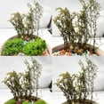 thumbnail image 3 of Cayway Miniature Shrubs Model Bushes Long Shrub Vegetation Groups Static Grass Tuft for DIY Model Train Landscape Railroad Scenery, Green, 3 of 7