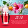 thumbnail image 4 of ScentSationals ScentCharm Oil - Hibiscus Waters, 4 of 6
