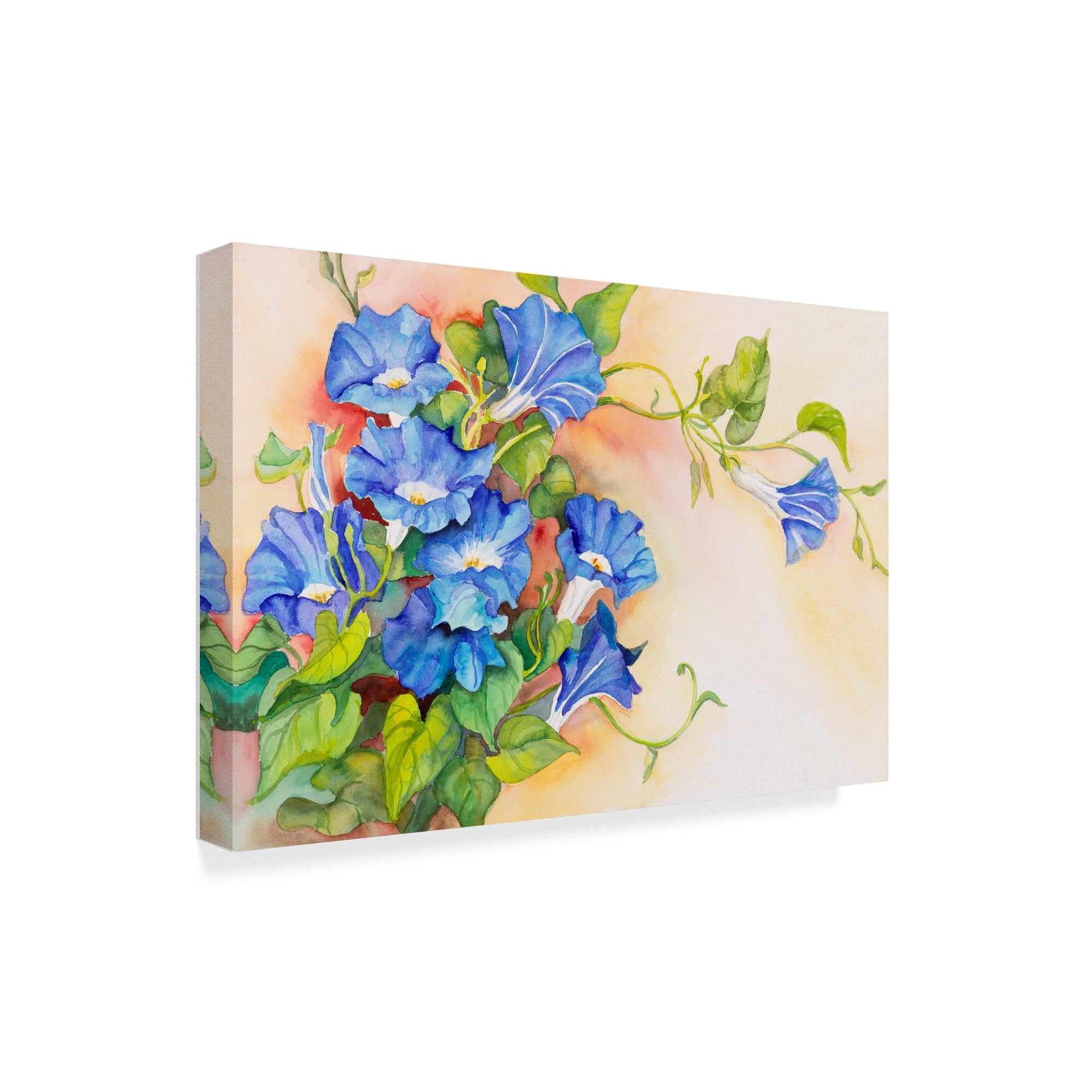 Trademark Fine Art Floral Canvas Art ' Morning Glory Vine Stretching ' by Joanne Porter