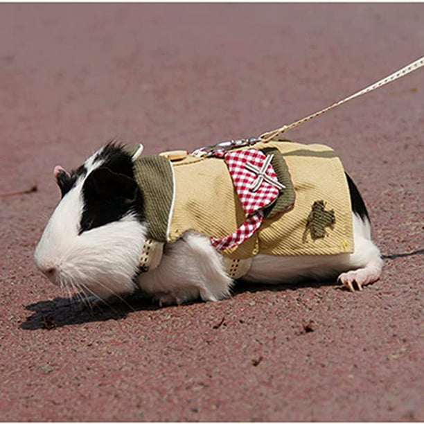 Guinea pig shop leash walmart