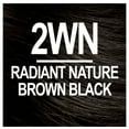 thumbnail image 2 of Naturtint 2WN Radiant Nature Brown Black Permanent Hair Color, 1 Pack (Packaging May Vary), 2 of 8