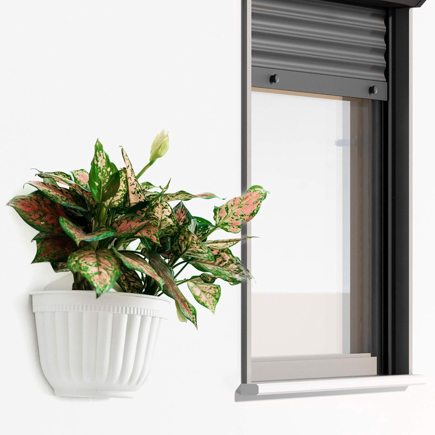 4/6 Pack 8/10 inch  White Wall Planter Pots Vertical Living Wall Hanging Planters Wall Mounted Planter Holder with Drainage Hole for Indoor Outdoor Plants Wall Decor with Hooks/Screws