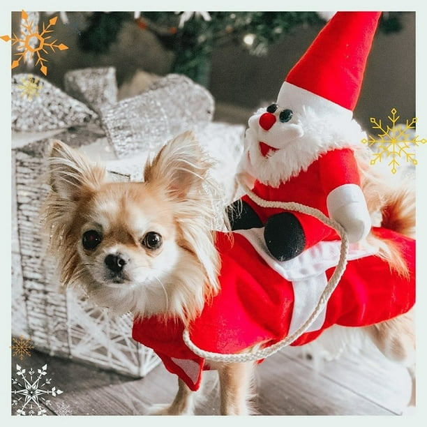 Chihuahua christmas clothes sale