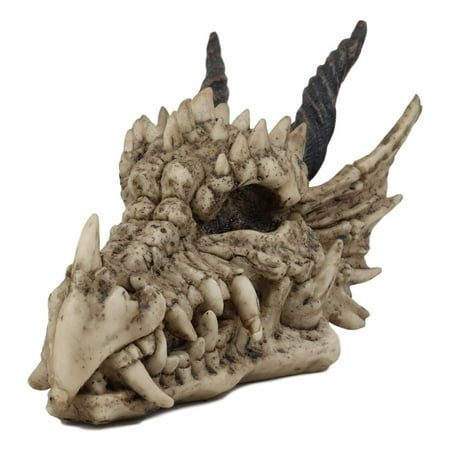 Ebros Gift Jurassic Beowulf Elder Dragon Head Skull Realistic Fossil Statue 7.75