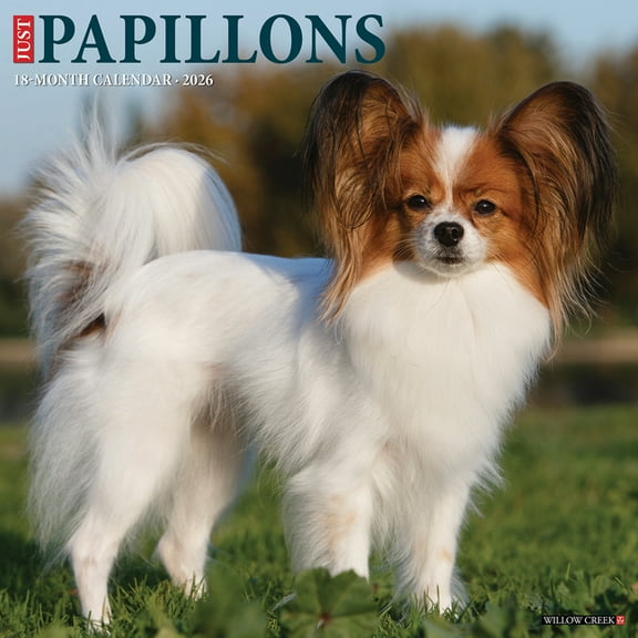 Papillons 2026 Wall Calendar, (Paperback)