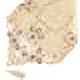 thumbnail image 4 of Camino de mesa largo ER 15 pulgadas x 77 pulgadas Flor Beige, 4 of 6