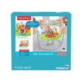 thumbnail image 4 of Fisher-Price Tiger Time Jumperoo, 4 of 8