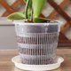 thumbnail image 1 of unbranded 3Ud Macetas Control Para Material PP Transparente Ideal Para Jardinería, 1 of 8