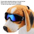 thumbnail image 1 of Gafas Para Mascotas, 1 of 7