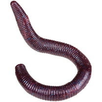 Gary Yamamoto Custom Baits Purple Pearl/Blue Flake 5" Yamasenko 10 ct Bag