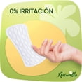 thumbnail image 3 of Naturella Diarios Regular Con Manzanilla Protectores Diarios 18 pzas, 3 of 5