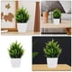 thumbnail image 3 of unbranded Planta Artificial Verde En Maceta Para De Restaurantes Y Espacios Interiores, 3 of 8