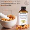 thumbnail image 4 of MAJESTIC PURE Frankincense Essential Oil | 100% Pure and Natural Frankincense Oil | Premium Grade Essential Oils for Hair Care, Home Diffusers, Skin, Aromatherapy, Massage and Humidifiers | 4 Fl Oz, 4 of 8