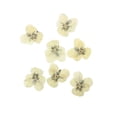 thumbnail image 2 of Cateissary 12 Uds. Artesanía de flores secas multipropósito estilo Simple hacer accesorios DIY flores prensadas artesanía joyería decoración Decoración del hogar Tipo 5, 2 of 6
