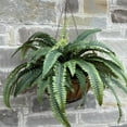 thumbnail image 4 of Fake Ferns - Set of 2 Artificial Fern,24 Leaves for Each Bouquet - Indoor/Outdoor Faux Boston Fake Fern Bush Plant for Home, Office, Garden Decoration, 4 of 9