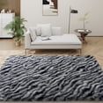 thumbnail image 2 of Janvonne 5x7 Fluffy Area Rug for Living Room Bedroom, Modern Shaggy Carpets Fuzzy Rug for Teens Dorm Bedside Home Decor Aesthetic, Heavy Duty Non Slip, Zebra Print, 2 of 8