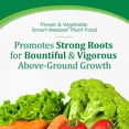 thumbnail image 3 of Osmocote Smart-Release Plant Food Flower & Vegetable, 2 lb., 3 of 10