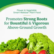 Osmocote Smart-Release Plant Food Flower & Vegetable, 2 lb.