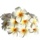 thumbnail image 2 of 20 Pieces Water Floating Plumeria Artificial Flower Frangipani For Pool, 2 of 5