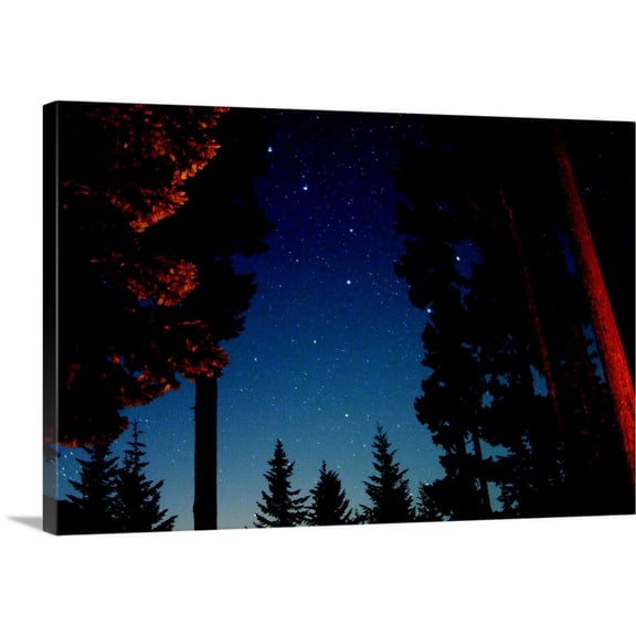 Great BIG Canvas | "Starry Night I" Canvas Wall Art - 30x20