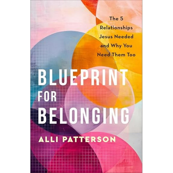 Pre-Owned Blueprint for Belonging: The 5 Relationships Jesus Needed and Why You Need Them Too (Paperback) 0800742338 9780800742331