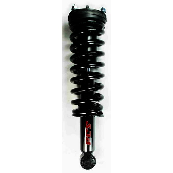 Suspension Strut and Coil Spring Assembly