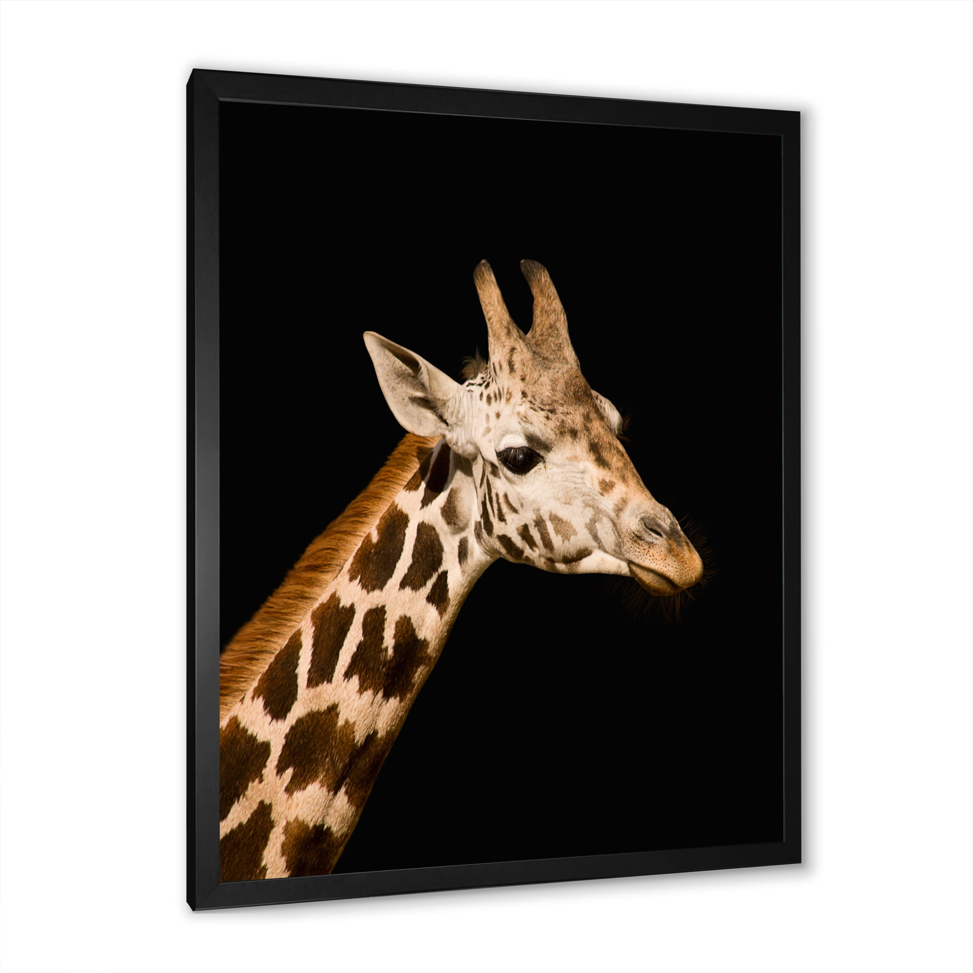 Designart 'Close Up Portrait Of A Giraffe On Black IV' Farmhouse Framed Art Print