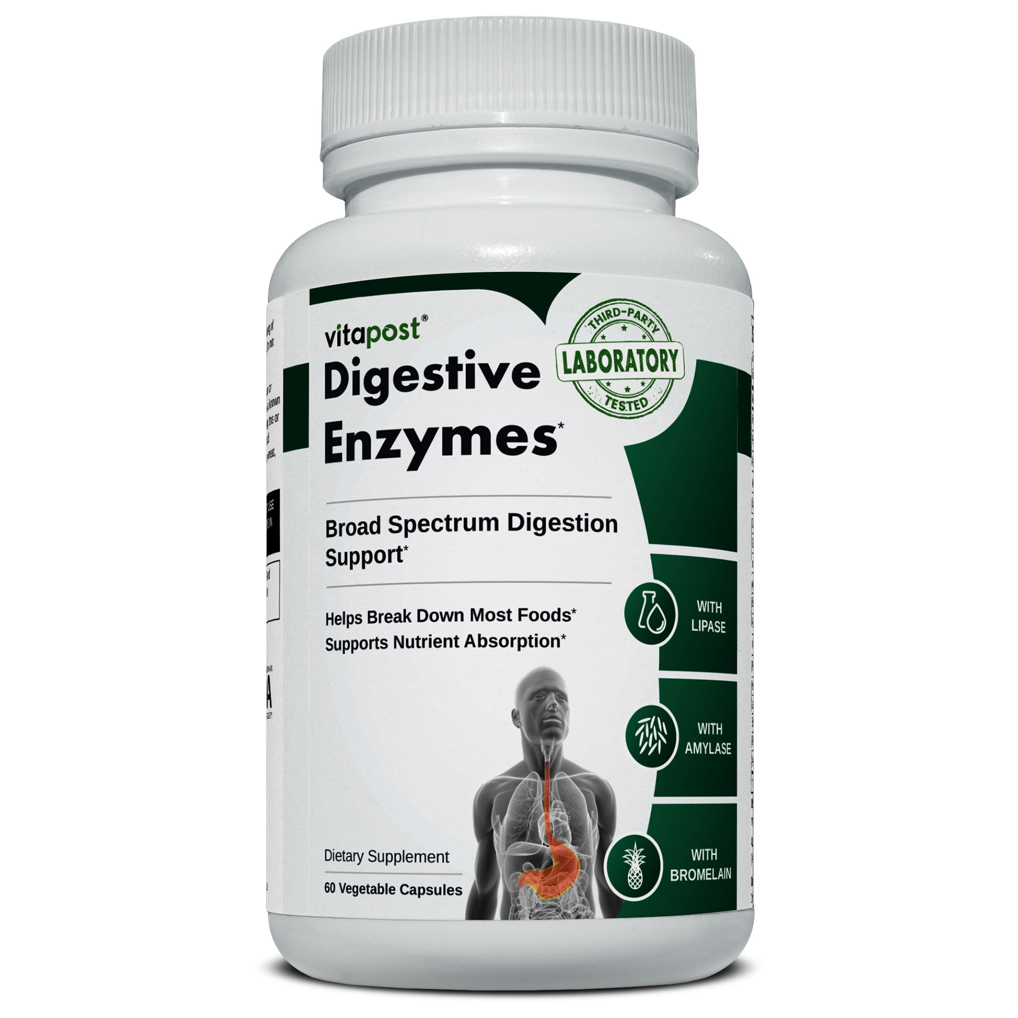 Buy VitaPost Digestive Enzymes Supplement Supports Healthy Digestion