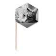thumbnail image 1 of Animal Pure Gray Cat Photograph Picture Toothpick Flags Cupcake Picks Party Celebration, 1 of 3