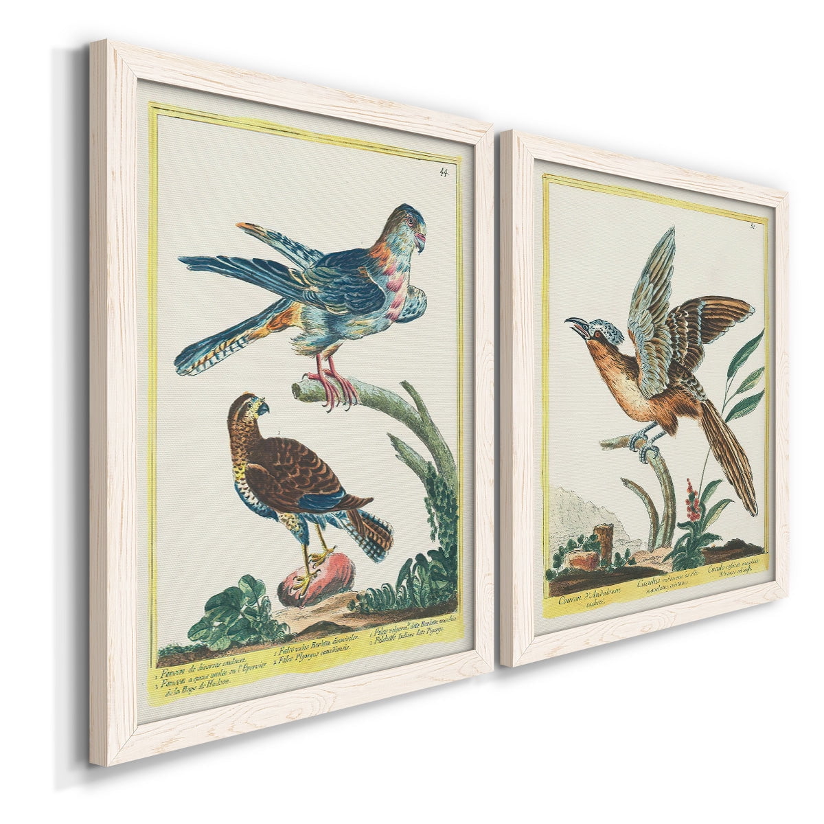 Pastel Birds III - Premium Framed Canvas 2 Piece Set - Ready to Hang