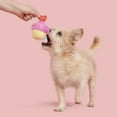 Bark's Puppy Luv Cupcake Valentine's Day Squeaky Plush Dog Toy