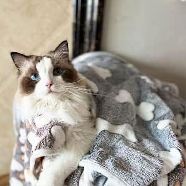 XINQIHANG 1 Pack 3 Puppy Blankets Super Soft Warm Sleep Mat Grey Cute Print Blanket Fluffy Fleece Pet Blanket Flannel Throw Dog Blankets for Small Dogs Puppy Dogs Fluffy Cats Bone Medium 29 x20 Walmar...